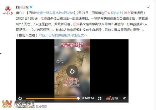 最新爆料曝光视频大全,揭秘热点事件背后的真相